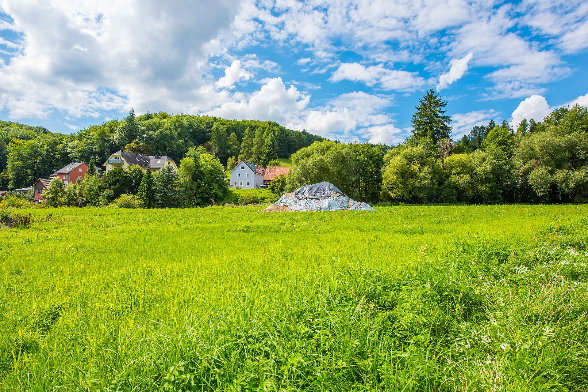 Bensheim Kompaktes, helles Baugrundstück in Waldrandlage - Oliver Reifferscheid - Immobilienmakler Darmstadt