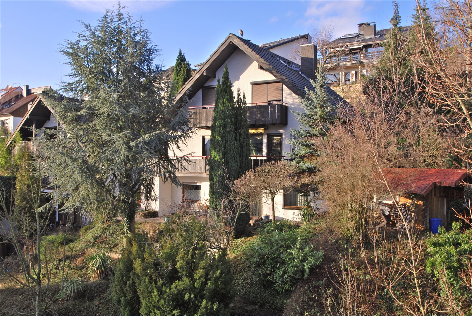  - Zwingenberg, Einfamilienhaus, mit Blick - Exposé 1304