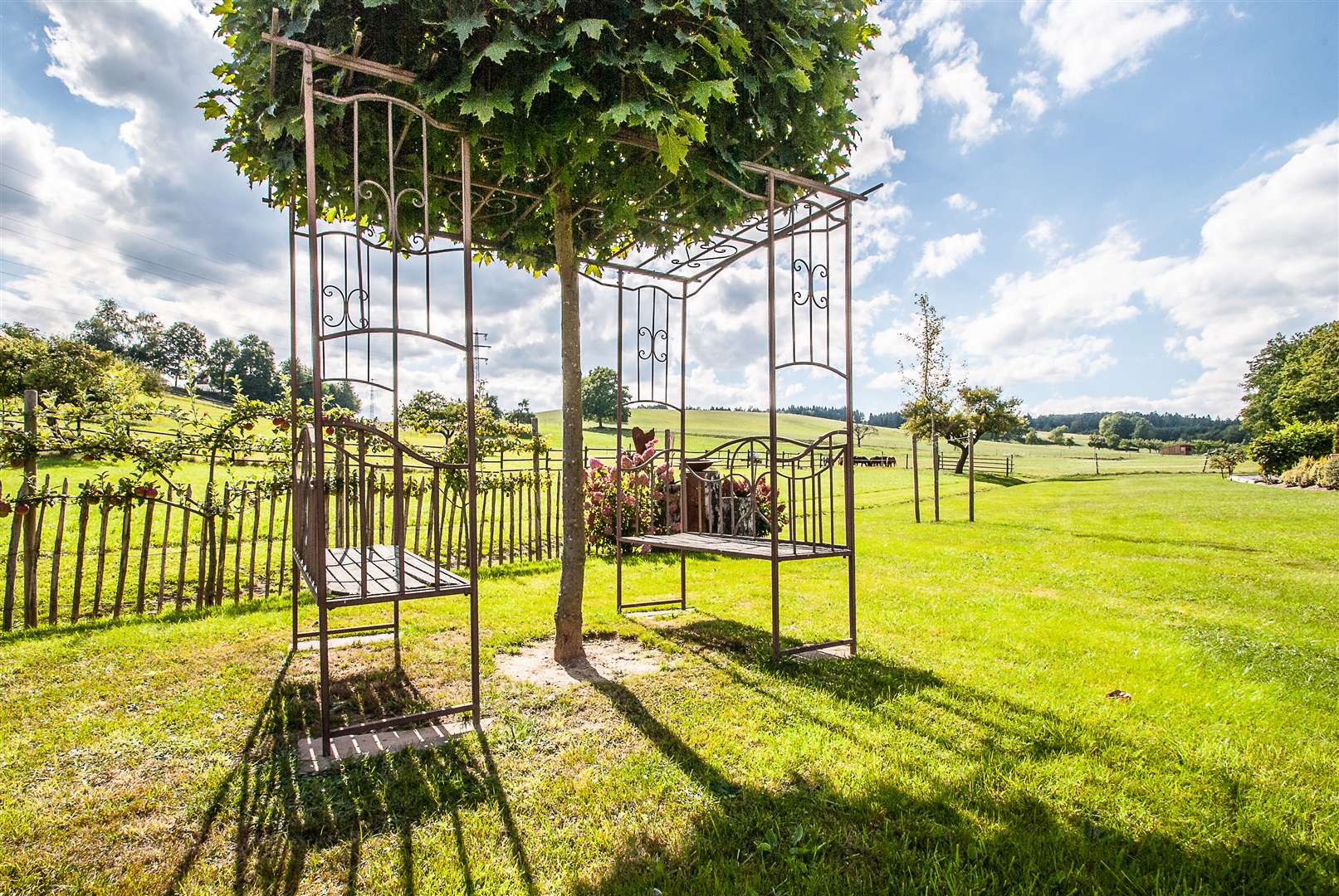 Sitzplatz mitten auf der Weide - Oliver Reifferscheid - Immobilienmakler Darmstadt