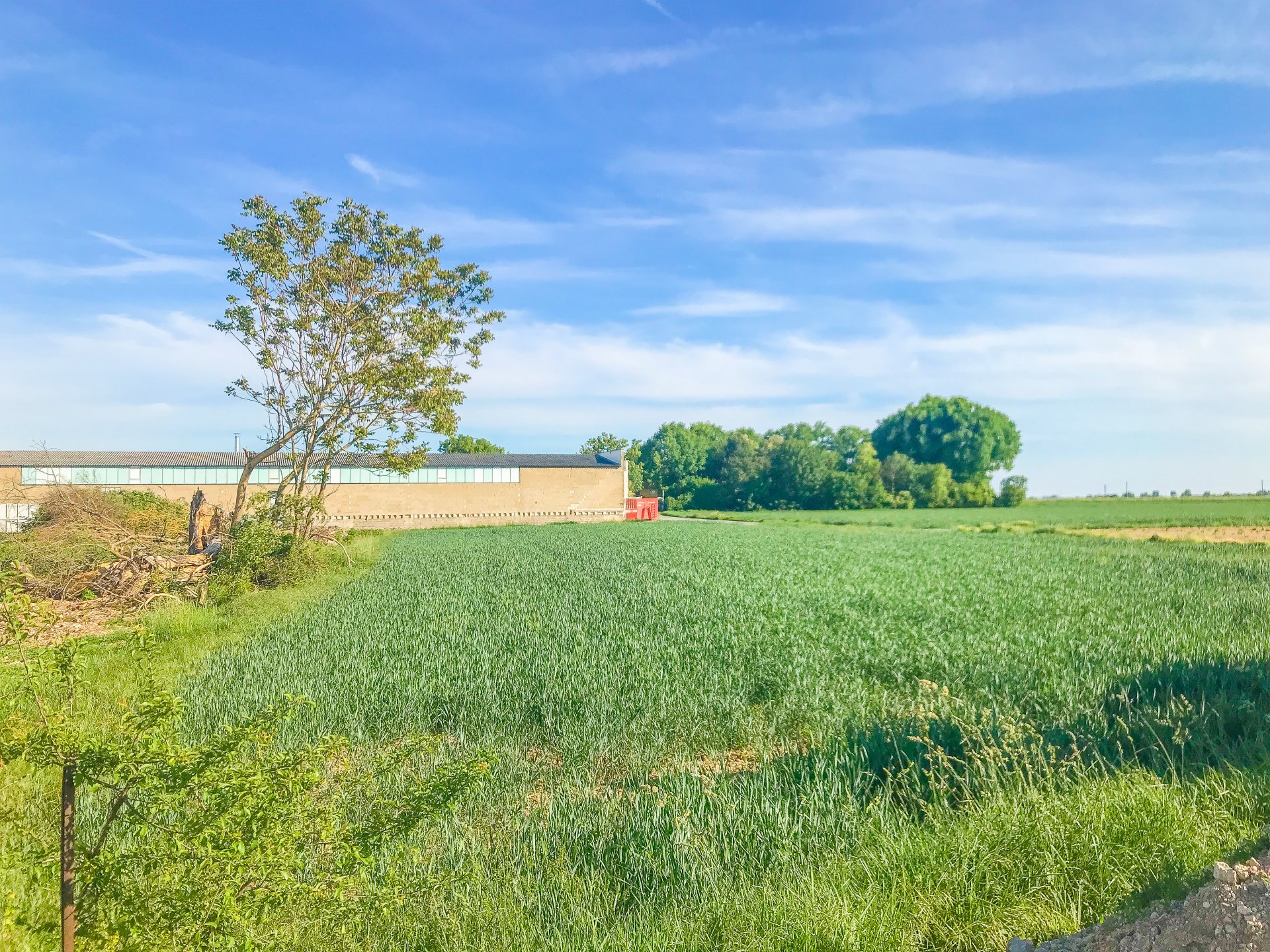 Kreis Darmstadt-Dieburg - Grundstück mit ca. 10.000 m²