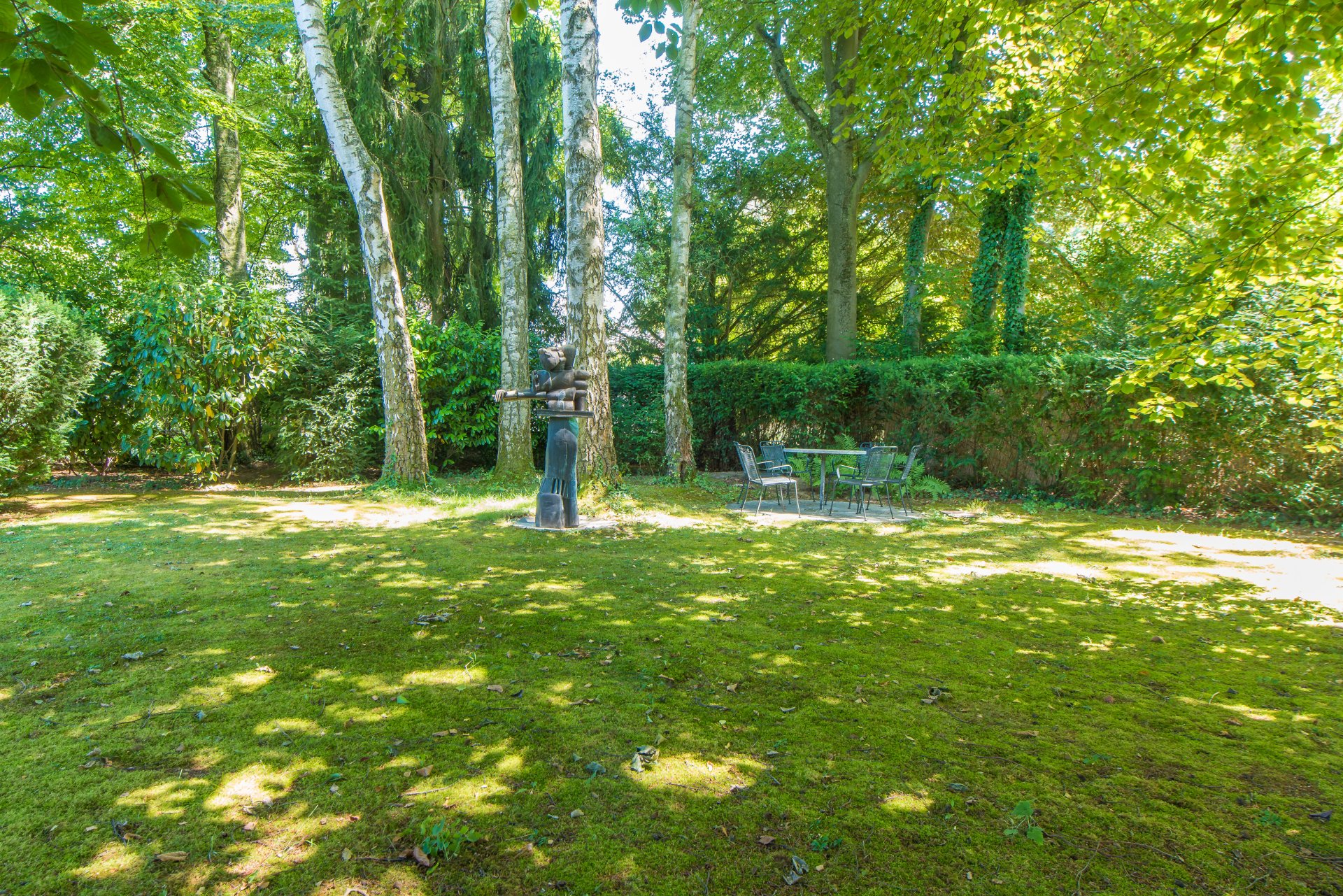 Kleines Birckenwäldchen, das Grundstück geht dahinter noch ca. 10 Meter weiter - Oliver Reifferscheid - Immobilienmakler Darmstadt