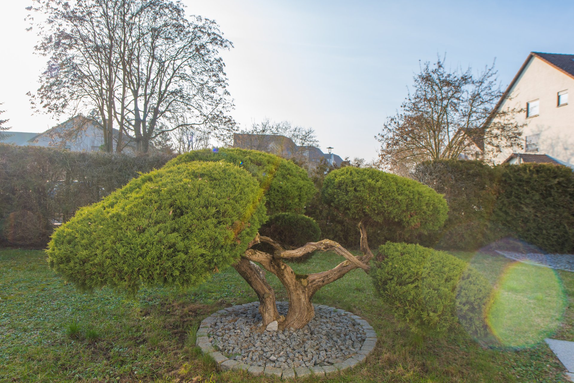 Impressionen und hoher Sichtschutz durch Hecke im Südgarten - Oliver Reifferscheid - Immobilienmakler Darmstadt